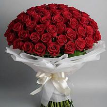 Букет 101 Красная роза Блэк Мэджик в Калиновском
