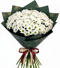 Букет цветов из:  Хризантемы #REPLACE_PRED# Калиновском